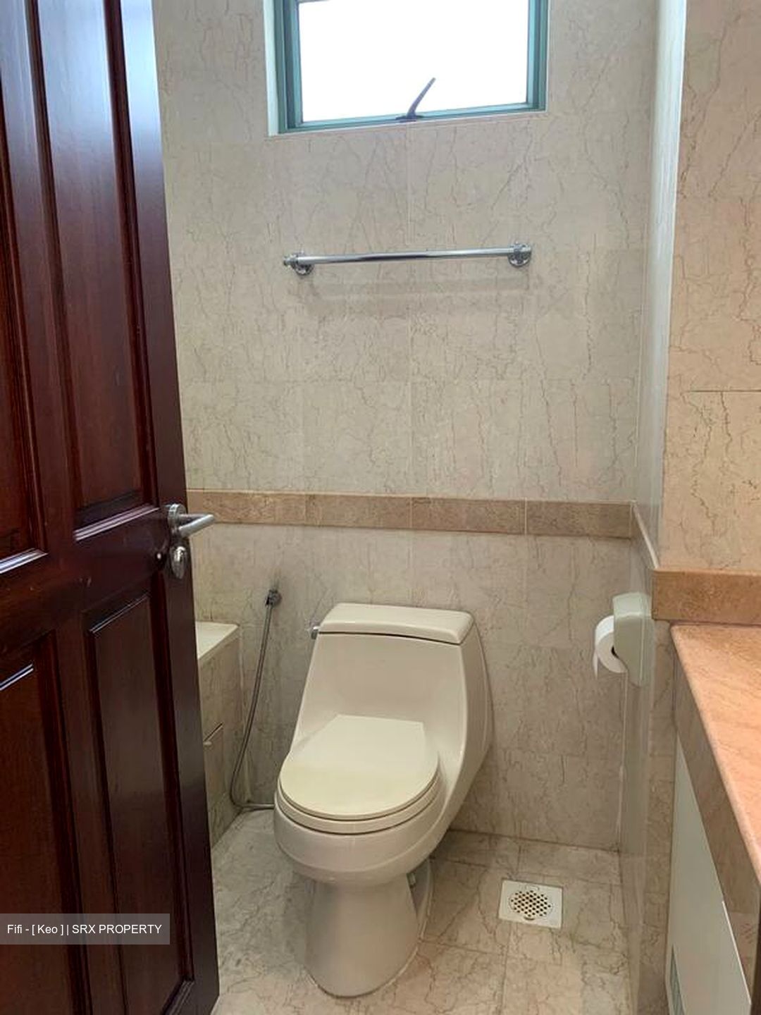 Tanglin Regency (D10), Condominium #504731421